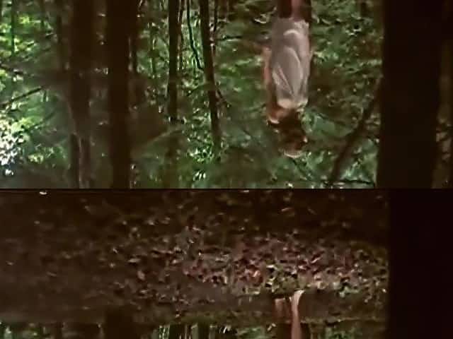 Alice in Wonderland X (1976), musical comedy porn film