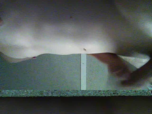 Morning Masturbating Session (No Cummshot/No Climax)