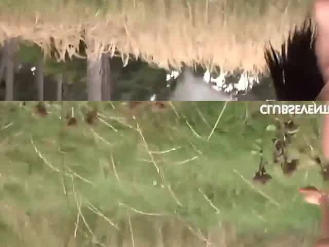 Wild Couple Fucks Under The Sun In Open Field - Raw Outdoor Passion