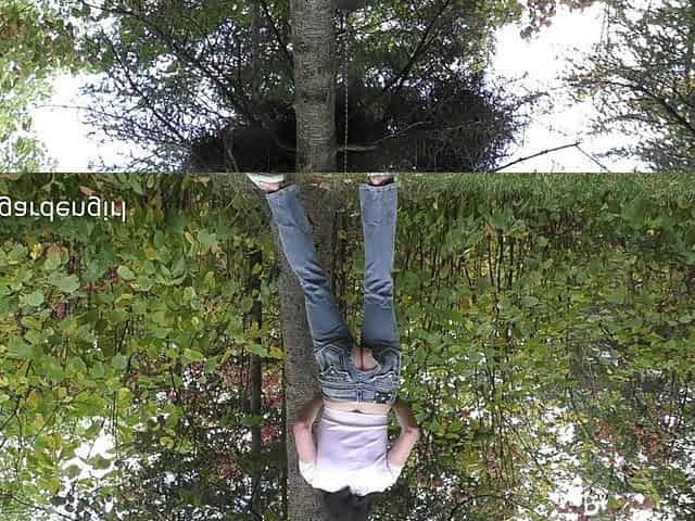 Forest Ass Fisting in Jeans