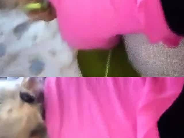 Culeando con mi Esposa Latina - Doggy Style Amateur