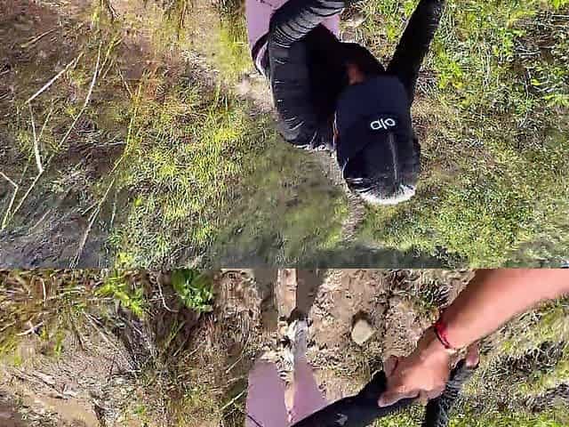Hike in the woods with a recent acquaintance ends in a rich public bang