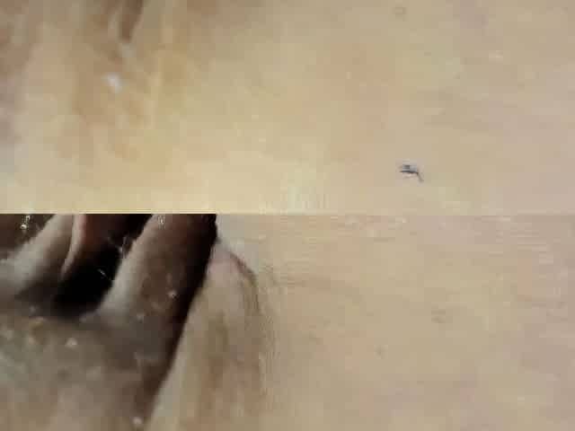 Webcam busty blonde stripped covered by oil anal masturbate