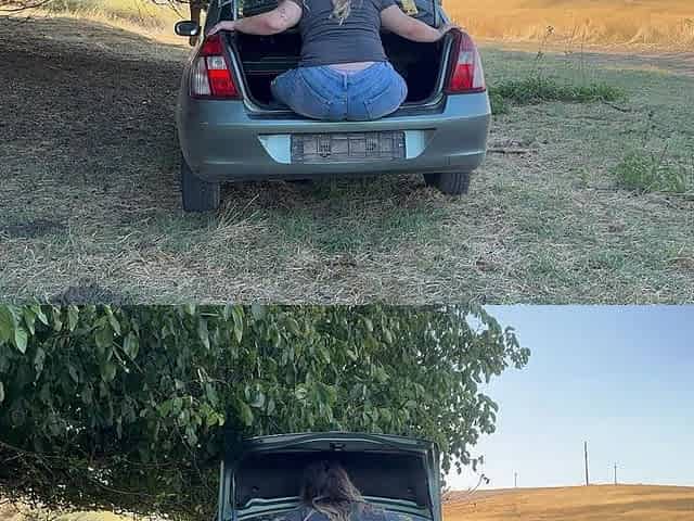 Trunk Tease: Bouncing Outside the Car