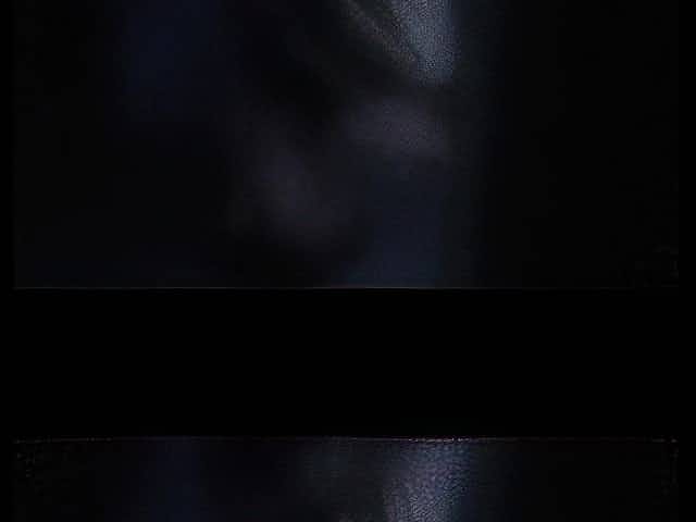 Lotte Verbeek Suspension of Disbelief (2012)