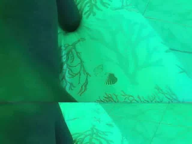 Its Too Tight!!! Your Cock Too Big!!! Small Step Sister Couldnt Handle Big Black Cock