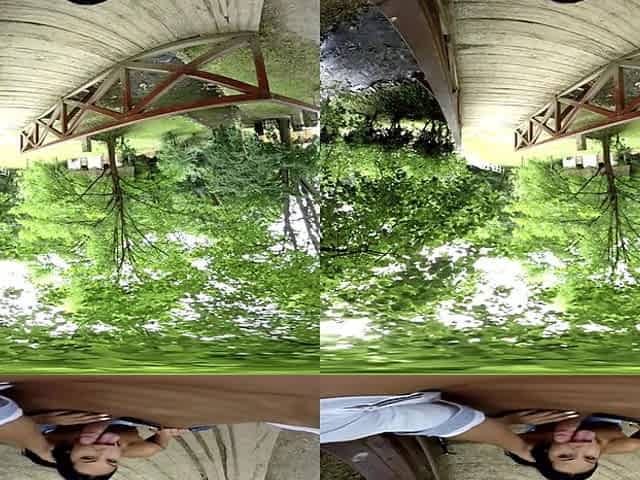 Couple Fucks in the Park