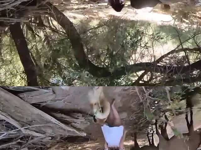 Hottest Adult Video Big Dick Wild Ever Seen