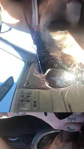 Rock whore gets throated in car ride