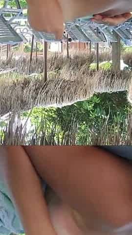Hot Stepsister Expressiagirl Shows off Her Assets at a Public Waterpark and Gives Stepbrother a Blowjob There