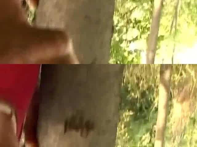 This babe groaned 2 ramrods to screw her vagina outdoors