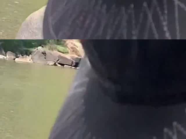 In nature's garb Play & Bang Whilst Alt Climber Watches Risky Public