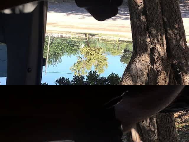 Euro amateur outdoor masturbation