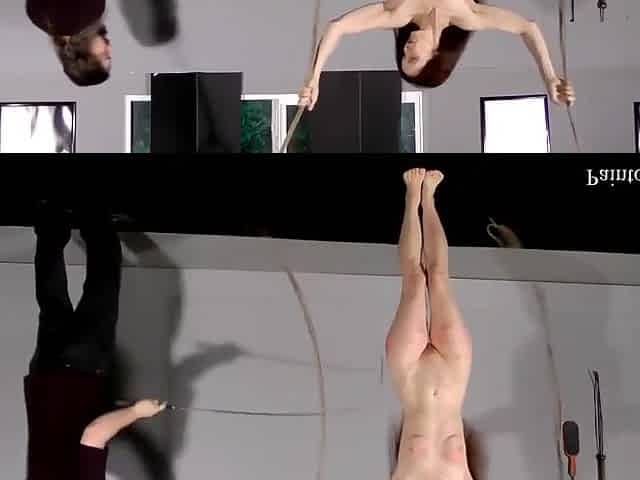 Paintoy Split Emma Pt