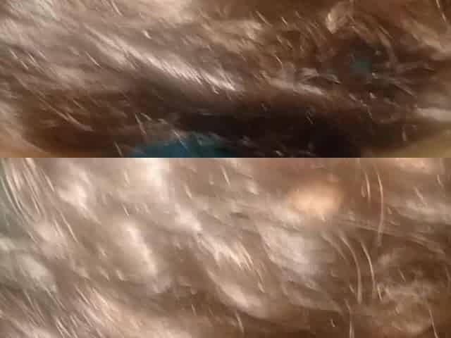 I Ended up Sucking My Neighbor's Ass After Giving Her a Good Fuck