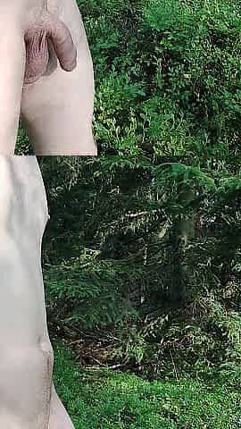 Walk exhibitionist in the forest