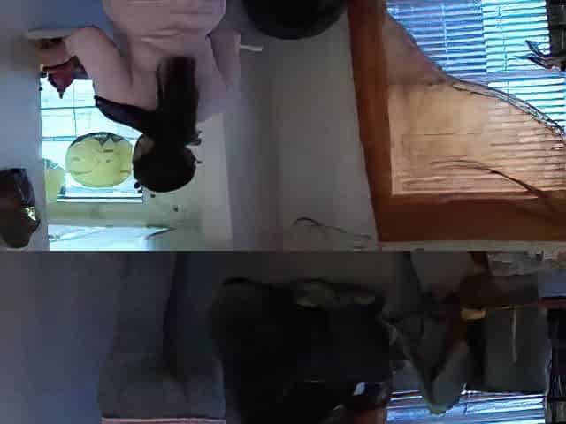 overweight teen maid dana