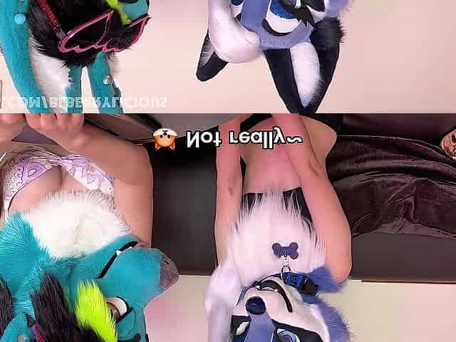 Cheating On My Husband With Small IceyFoxx And Cumming In Her During Pool Party (Fursuit Porn)