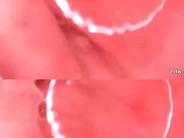 Japanese Anal