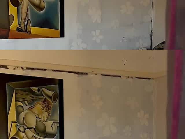 Window Open While Home Alone