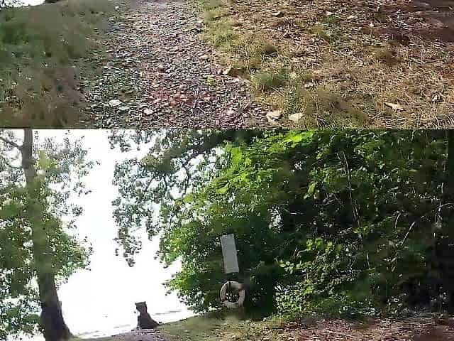mother I'd like to fuck drilled on camper with open door Almasol bike voyage between Austria-Germany (Lindau)