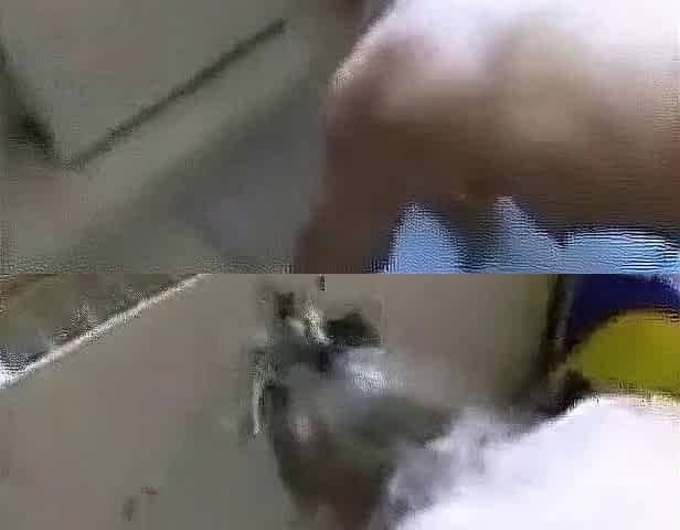 German Amateur Cuckold
