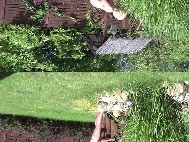 Kinky Mature Lady Playing Outside