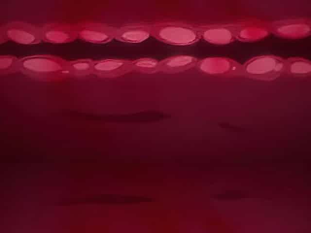 Forbidden Existence with Story_20100201p0