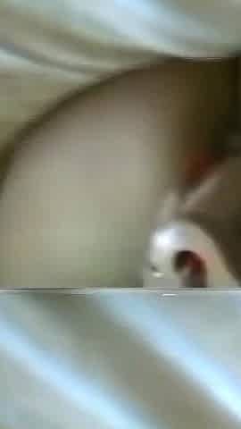 Two Amazing Busty Vintage MILFs Masturbate Their Hairy Pussy with Dildos