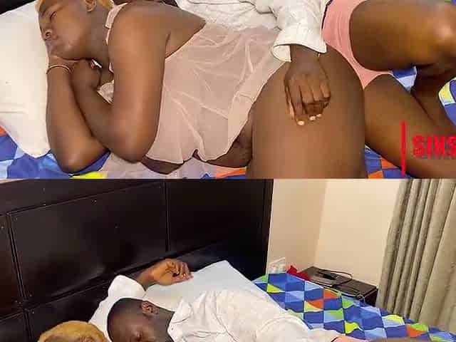 Nigerian Black pair