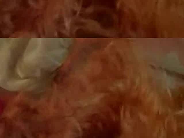 Big Titties In Bed Action Hot VIntage Porn