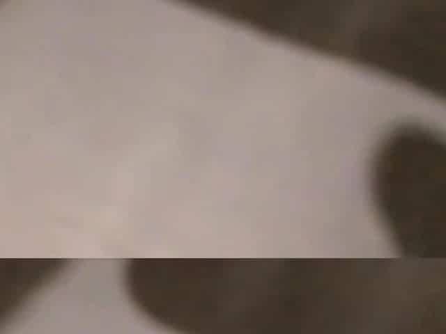 Ma chienne french amateur couple hidden cam 1
