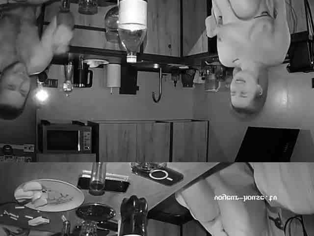 Ma chienne french amateur couple hidden cam 1