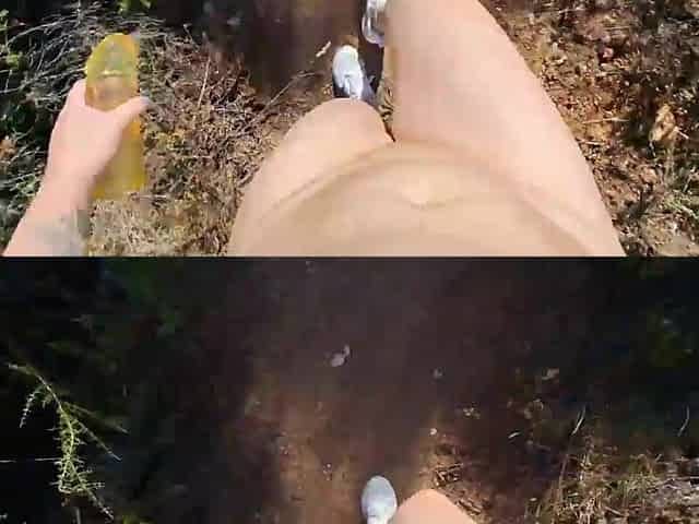 Latin chick exposed outdoors screws stranger with wang sleeve forest
