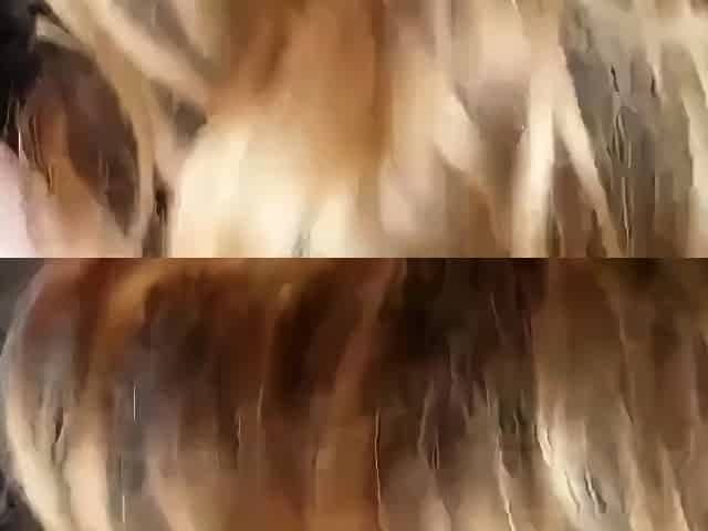 Sexy Amateur MILF Blowjob