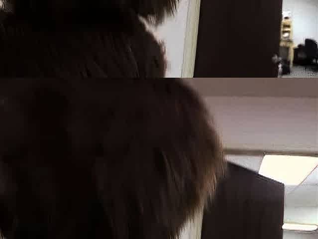 Two amateur girls sexing with young guy