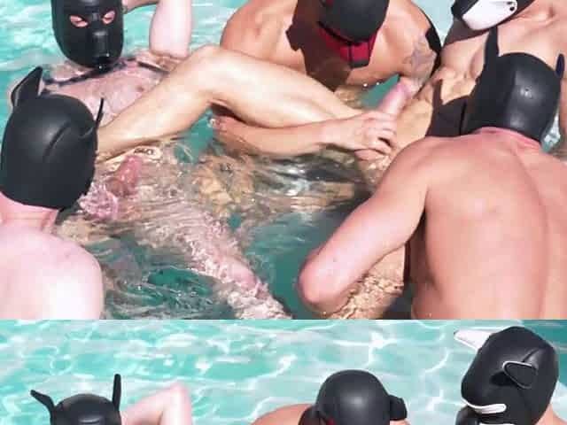 Pup literally fucked doggystyle by Alpha !