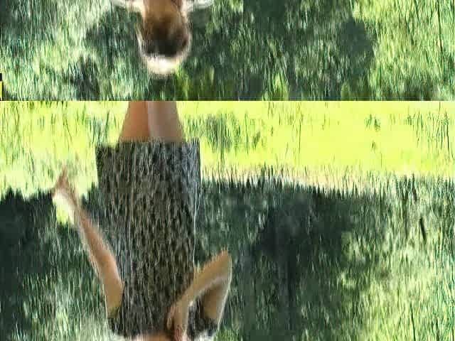 German Amateur Babe Outdoor Anal Masturbation