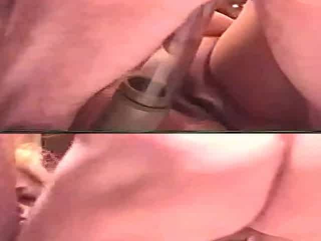 A HOT COMPILATION OF VIDEOS TAKEN IN TORONTO CA