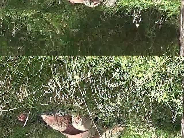I fondle my vagina in the forest. Natural enjoyment in nature. Public