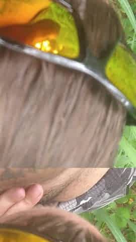 Cute hotty sucking shlong in public in popular spring park
