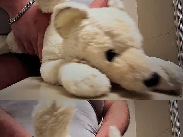 Cumslut Arctic Fox Plush Screwed Hard and Gets a Wonderful Facial