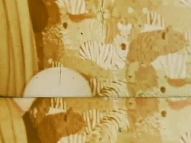 Massive 01 - (restyling Movie in Full HD Version)
