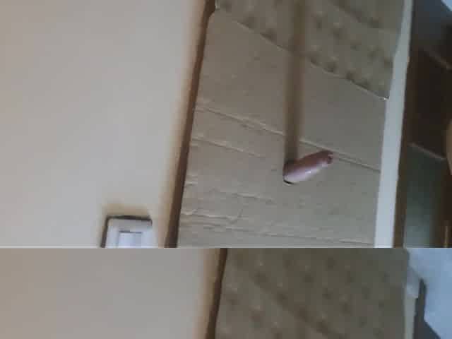 Arab Sucking Cock