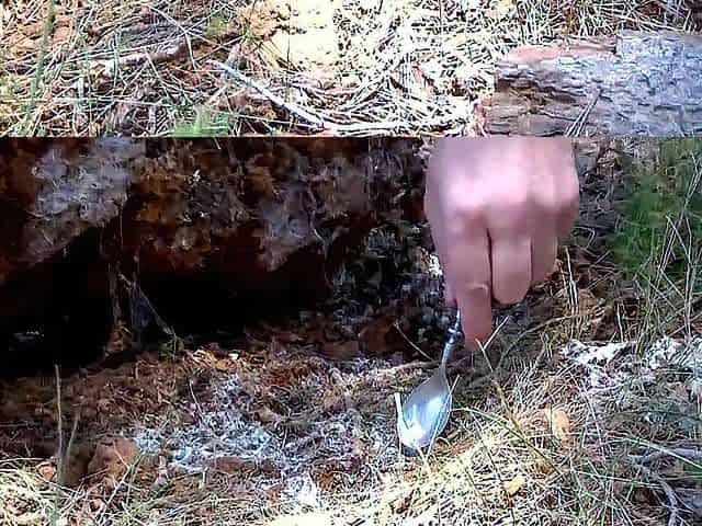 susi outdoor casting with DP