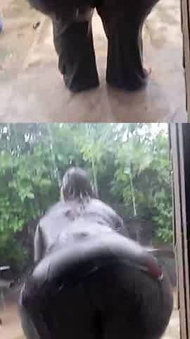 big ass in the rain