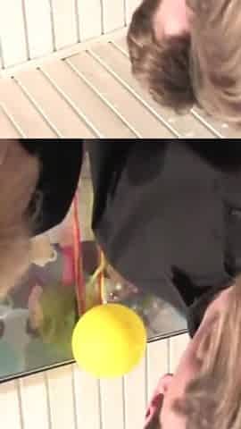 Threesome action with mature and college chick