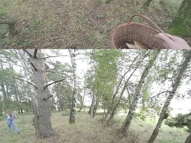 I Like to Go to the Forest for Mushrooms with Sarah