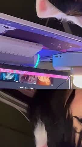 Gamer Girl Gives Under Desk Blowjob