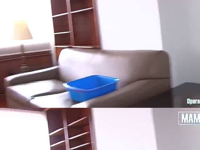 Alex Moreno And Mariela Gomez - Best Maid Offers Complete Cleaning Service